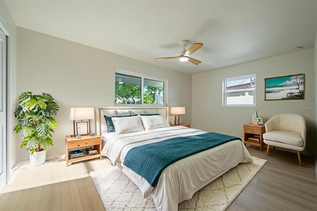 243 45th Ave NE, Saint Petersburg, FL 33703 - photo 47
