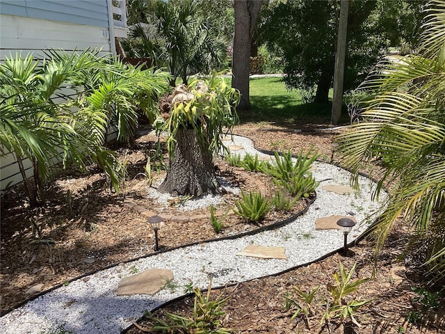 401 Pennsylvania Ave, Crystal Beach, FL 34681 - photo 38
