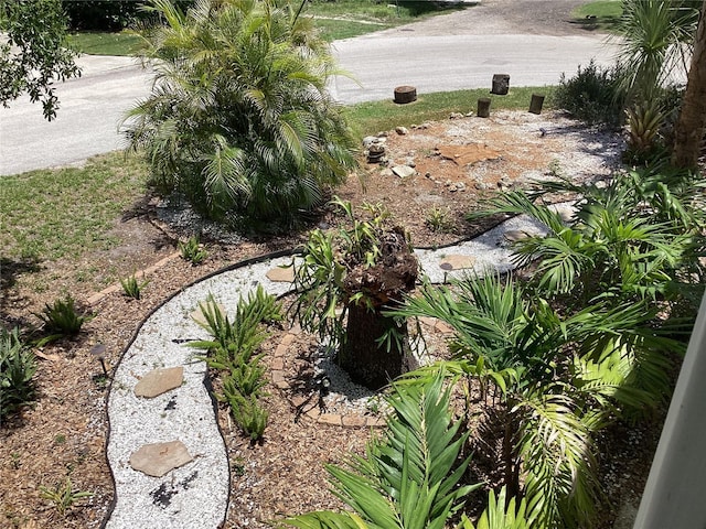 401 Pennsylvania Ave, Crystal Beach, FL 34681 - photo 47