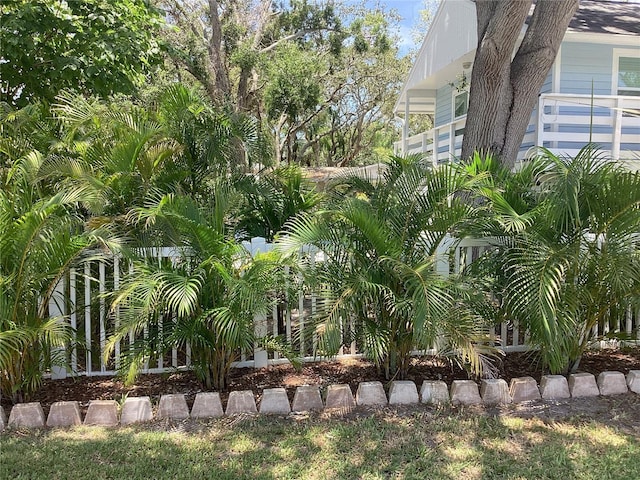 401 Pennsylvania Ave, Crystal Beach, FL 34681 - photo 49