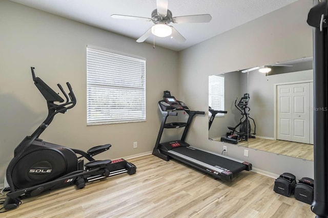 7725 235th St E, Myakka City, FL 34251 - workout room featuring ceiling fan and wood finished floors