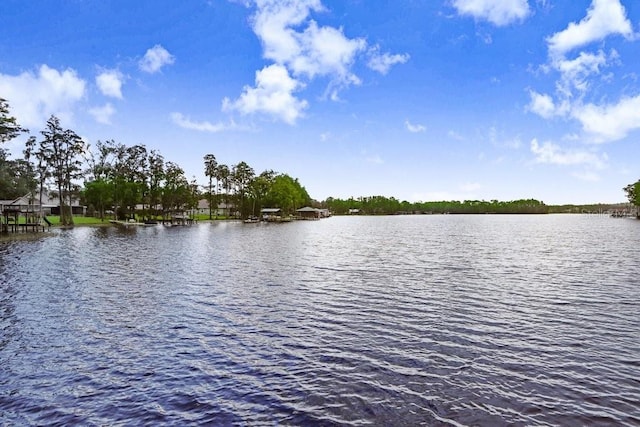 8903 Donna Lu Dr, Odessa, FL 33556 - photo 6