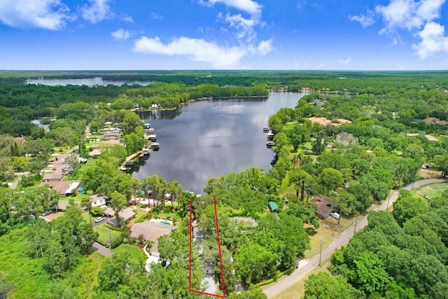 8903 Donna Lu Dr, Odessa, FL 33556 - photo 8