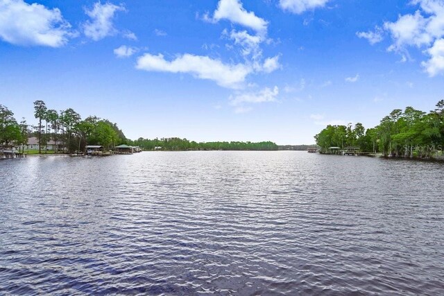 8903 Donna Lu Dr, Odessa, FL 33556 - photo 2