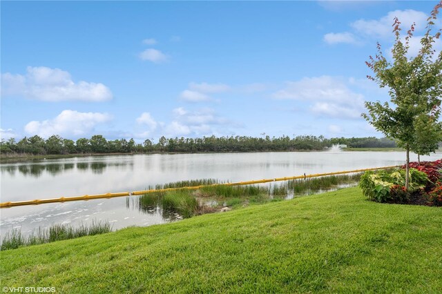 19781 Marino Lake Cir Unit 101, Miromar Lakes, FL 33913 - photo 29