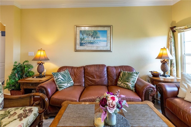 2724 Via Murano Unit 639, Clearwater, FL 33764 - living room with ornamental molding and wood finished floors