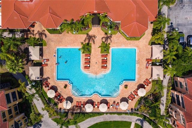 2724 Via Murano Unit 639, Clearwater, FL 33764 - bird's eye view of a pool