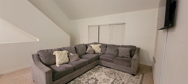 10436 White Lake Ct Unit 10436, Tampa, FL 33626 - photo 6