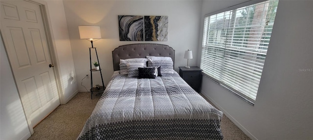 10436 White Lake Ct Unit 10436, Tampa, FL 33626 - photo 8