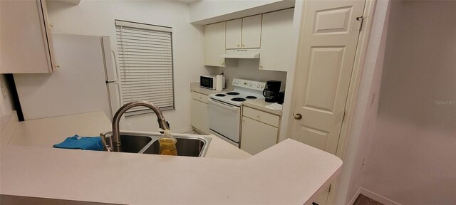 10436 White Lake Ct Unit 10436, Tampa, FL 33626 - photo 11