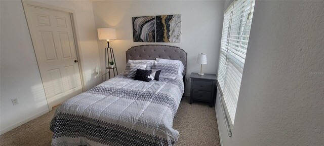 10436 White Lake Ct Unit 10436, Tampa, FL 33626 - photo 14