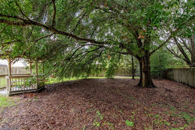 18004 Clear Lake Dr, Lutz, FL 33548 - view of fenced backyard