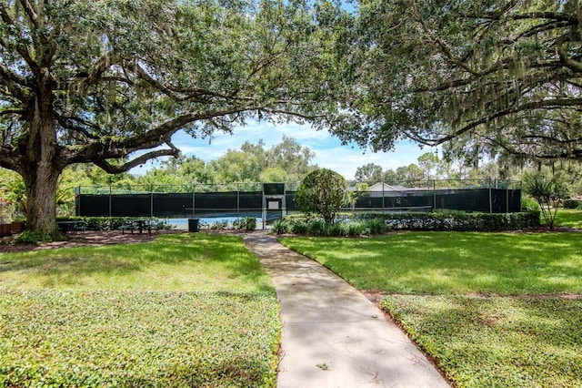 18004 Clear Lake Dr, Lutz, FL 33548 - view of yard with a tennis court