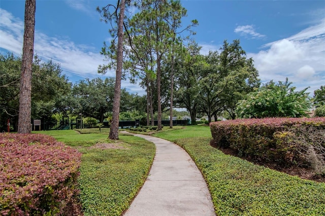 18004 Clear Lake Dr, Lutz, FL 33548 - surrounding community featuring a yard