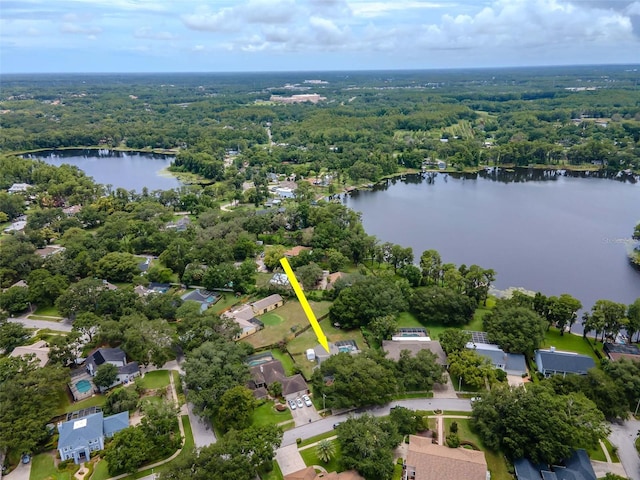 18004 Clear Lake Dr, Lutz, FL 33548 - aerial perspective of suburban area with a forest and a nearby body of water