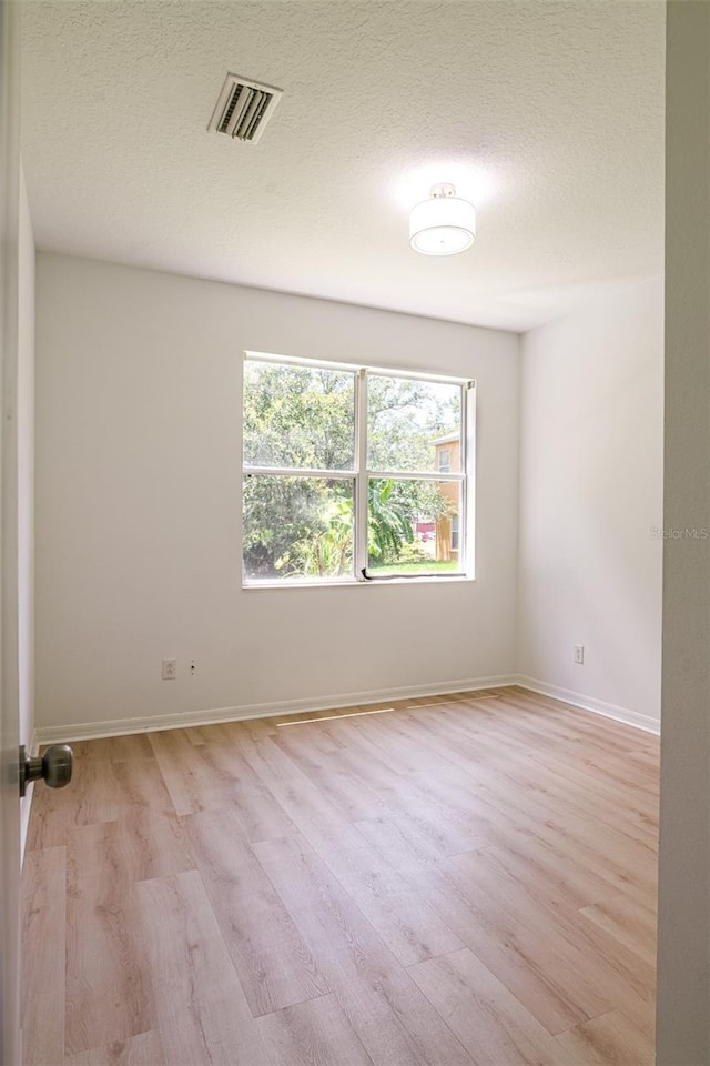 10605 Marsanne Pl, Riverview, FL 33578 - spare room featuring light wood-type flooring and a textured ceiling