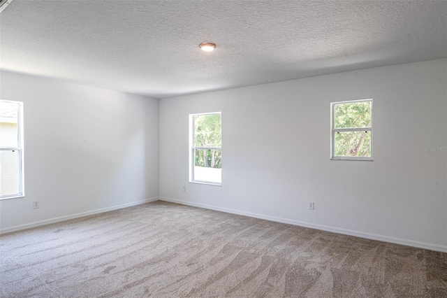 10605 Marsanne Pl, Riverview, FL 33578 - carpeted empty room with healthy amount of natural light and a textured ceiling