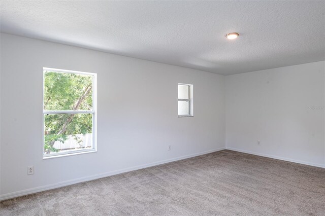 10605 Marsanne Pl, Riverview, FL 33578 - spare room featuring carpet floors and a textured ceiling