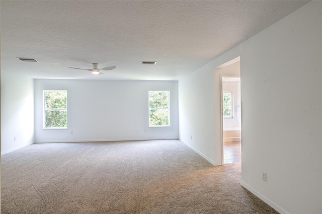 10605 Marsanne Pl, Riverview, FL 33578 - empty room featuring plenty of natural light, carpet floors, ceiling fan, and a textured ceiling