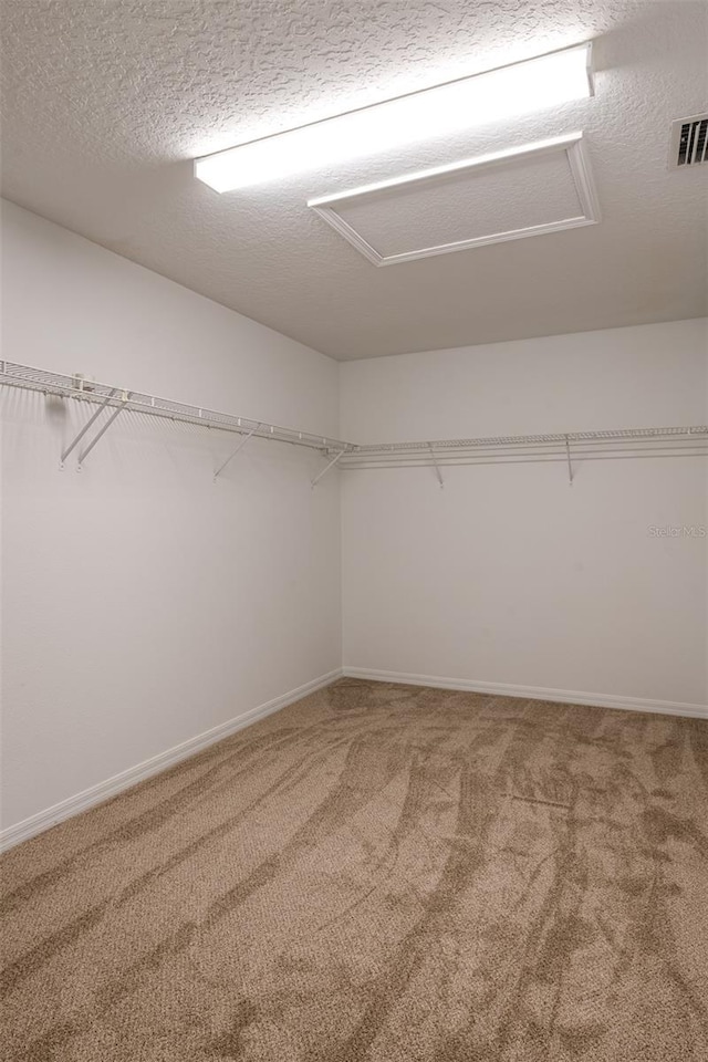 10605 Marsanne Pl, Riverview, FL 33578 - spacious closet with attic access and carpet floors