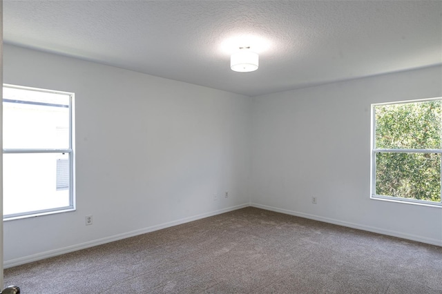 10605 Marsanne Pl, Riverview, FL 33578 - carpeted empty room featuring a textured ceiling and baseboards