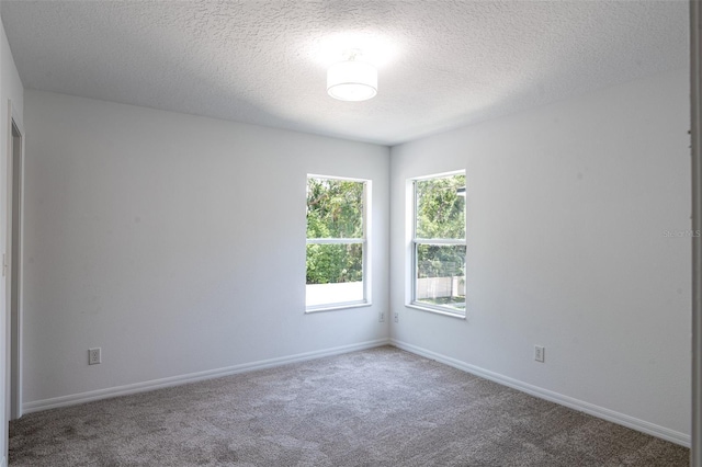 10605 Marsanne Pl, Riverview, FL 33578 - carpeted spare room featuring a textured ceiling and baseboards