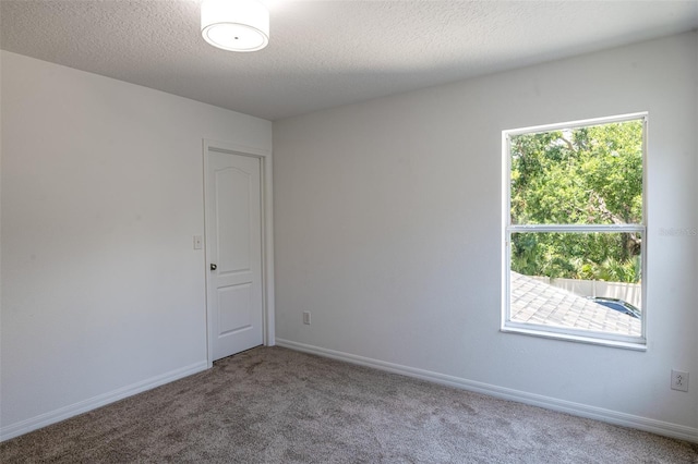 10605 Marsanne Pl, Riverview, FL 33578 - spare room with carpet floors and a textured ceiling