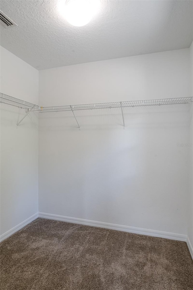 10605 Marsanne Pl, Riverview, FL 33578 - spacious closet featuring carpet