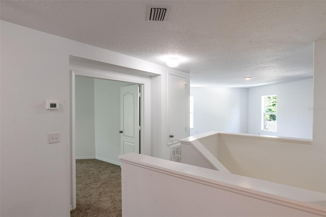 10605 Marsanne Pl, Riverview, FL 33578 - hallway with carpet flooring, an upstairs landing, and a textured ceiling