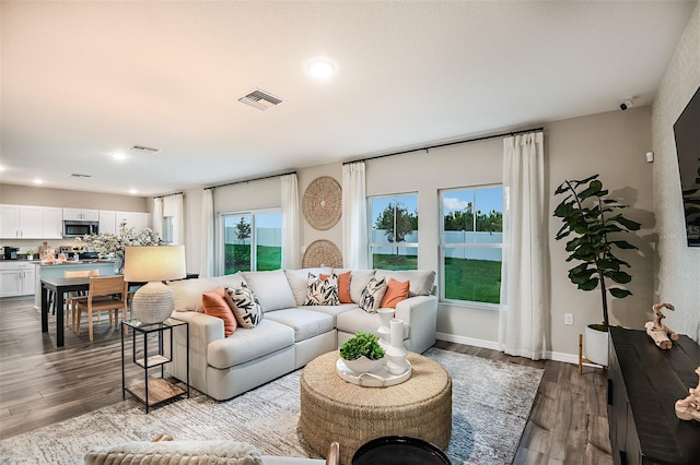 14819 Summer Branch Dr, Lithia, FL 33547 - living room with recessed lighting, healthy amount of natural light, and dark wood finished floors