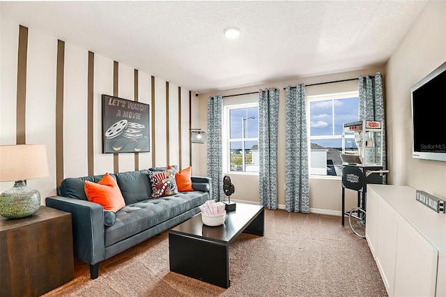 14819 Summer Branch Dr, Lithia, FL 33547 - living area featuring a textured ceiling and carpet floors