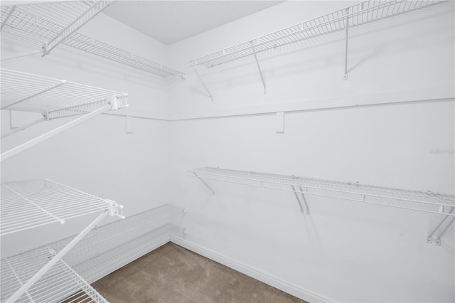 4202 Harbor House Dr Unit 24, Tampa, FL 33615 - photo 19