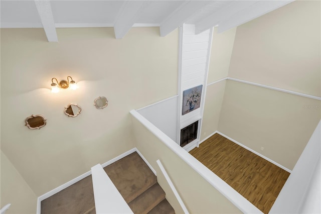 4202 Harbor House Dr Unit 24, Tampa, FL 33615 - photo 16