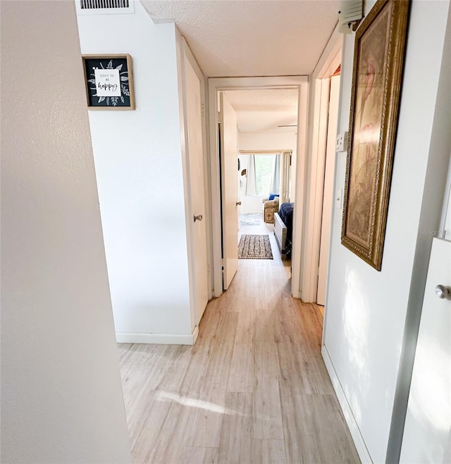 2330 Ecuadorian Way Unit 30, Clearwater, FL 33763 - hall with light wood-style flooring and baseboards
