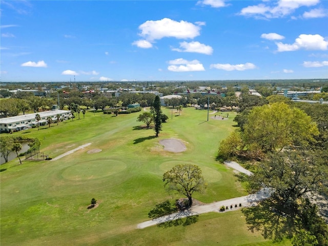 2330 Ecuadorian Way Unit 30, Clearwater, FL 33763 - drone / aerial view of a golf course and a tree filled landscape