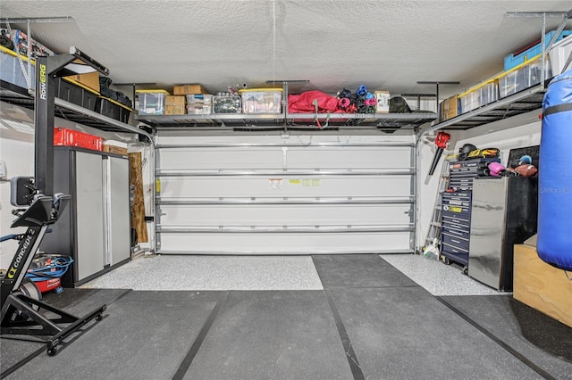 10580 Gliding Eagle Way, Land O Lakes, FL 34638 - view of garage