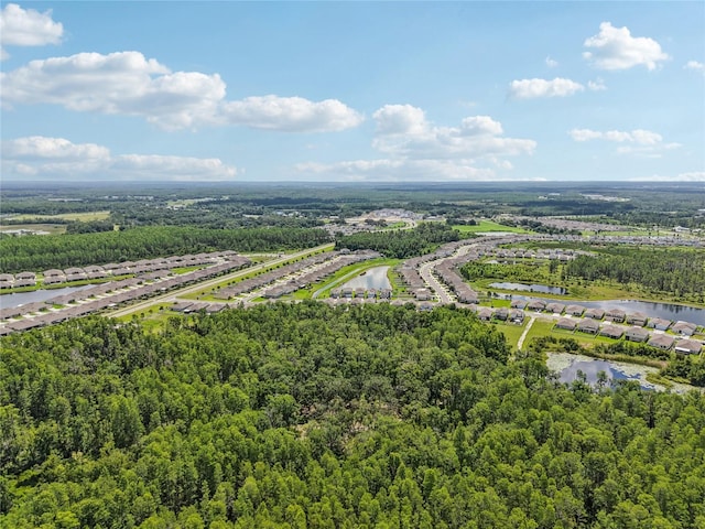 10580 Gliding Eagle Way, Land O Lakes, FL 34638 - drone / aerial view of a large body of water and a heavily wooded area