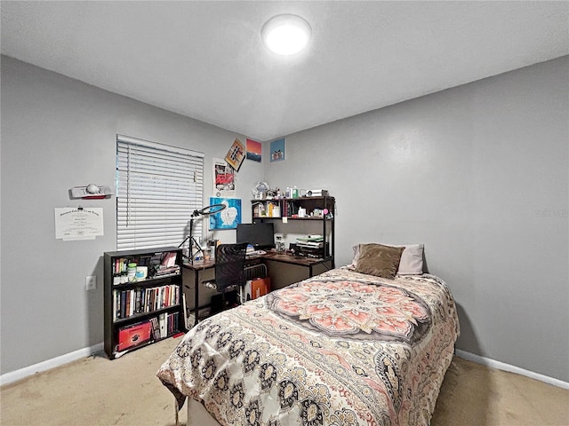 1609 Haven Bnd, Tampa, FL 33613 - bedroom featuring carpet and baseboards