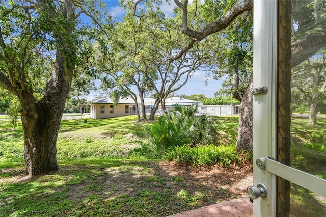 2003 Greenbriar Blvd Unit 8, Clearwater, FL 33763 - view of green lawn