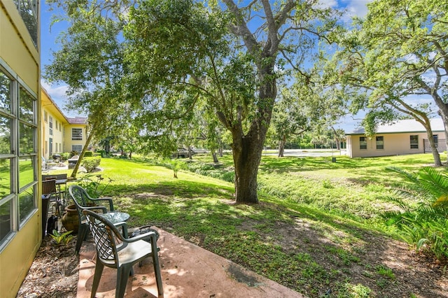 2003 Greenbriar Blvd Unit 8, Clearwater, FL 33763 - view of grassy yard featuring a patio