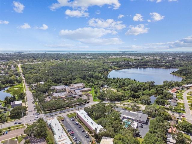 2003 Greenbriar Blvd Unit 8, Clearwater, FL 33763 - bird's eye view of a large body of water and a forest