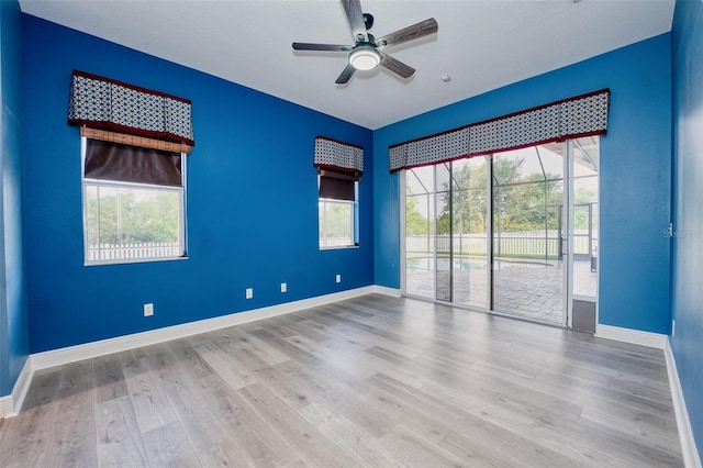 10513 Palm Cove Ave, Tampa, FL 33647 - photo 38