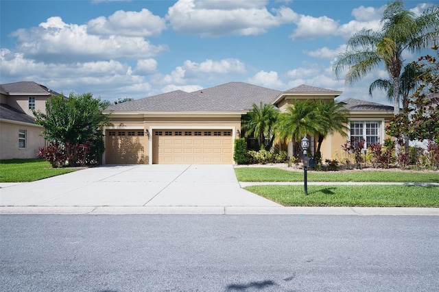 10513 Palm Cove Ave, Tampa, FL 33647 - photo 2