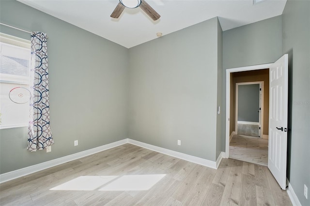 10513 Palm Cove Ave, Tampa, FL 33647 - photo 27