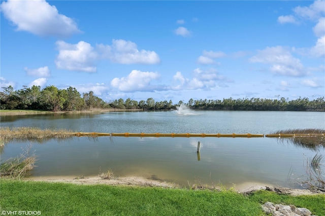 19781 Marino Lake Cir Unit 202, Miromar Lakes, FL 33913 - water view