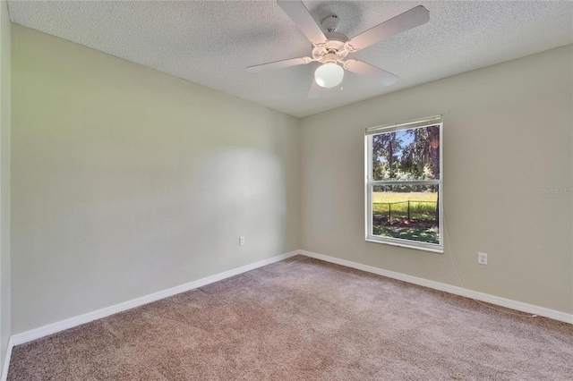 2719 Wilder Trace Ct, Plant City, FL 33566 - spare room featuring carpet, a ceiling fan, and a textured ceiling