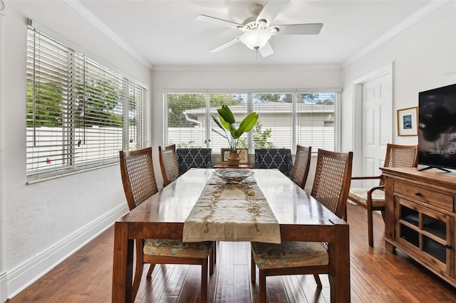 2560 51st St N, Saint Petersburg, FL 33710 - photo 15