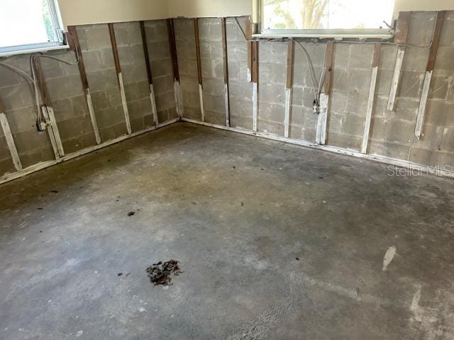 3901 N Nokomis Pt, Crystal River, FL 34428 - view of basement