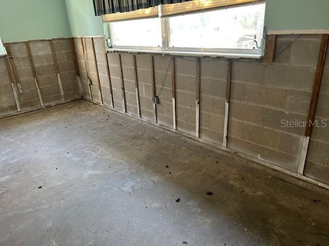 3901 N Nokomis Pt, Crystal River, FL 34428 - view of basement