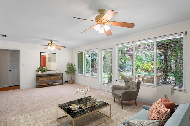 7515 N Ola Ave, Tampa, FL 33604 - photo 12